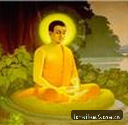 赵敏